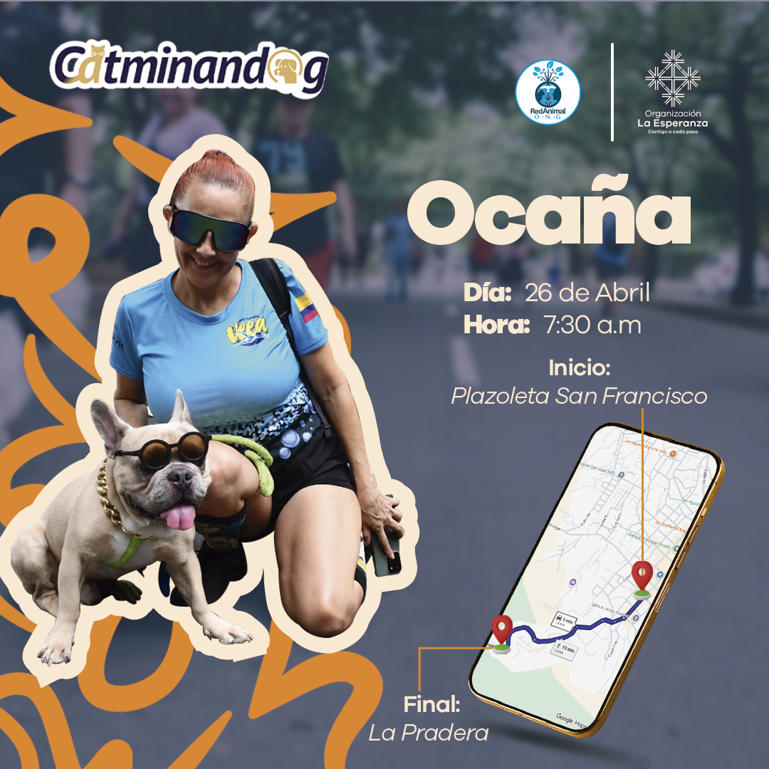 Horario Ocaña